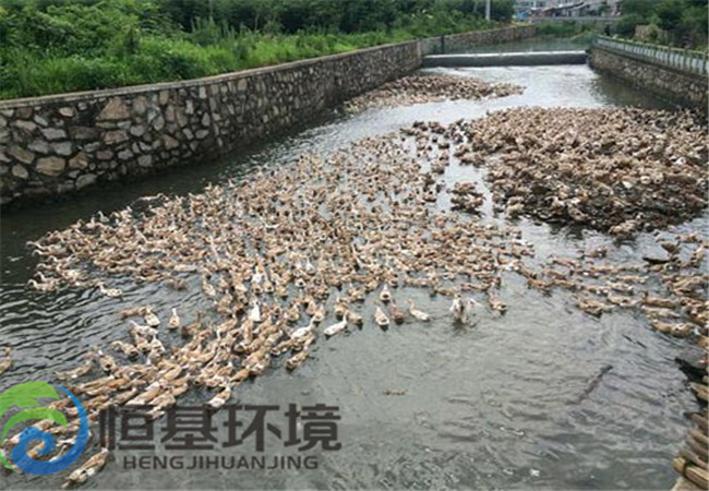 養(yǎng)雞場(chǎng)污水處理 養(yǎng)雞場(chǎng)污水處理