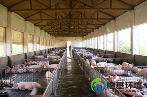 養(yǎng)殖污水處理 養(yǎng)殖污水處理