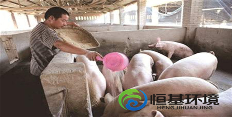 飼養(yǎng)場污水處理